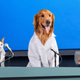Image for article titled Year In Review